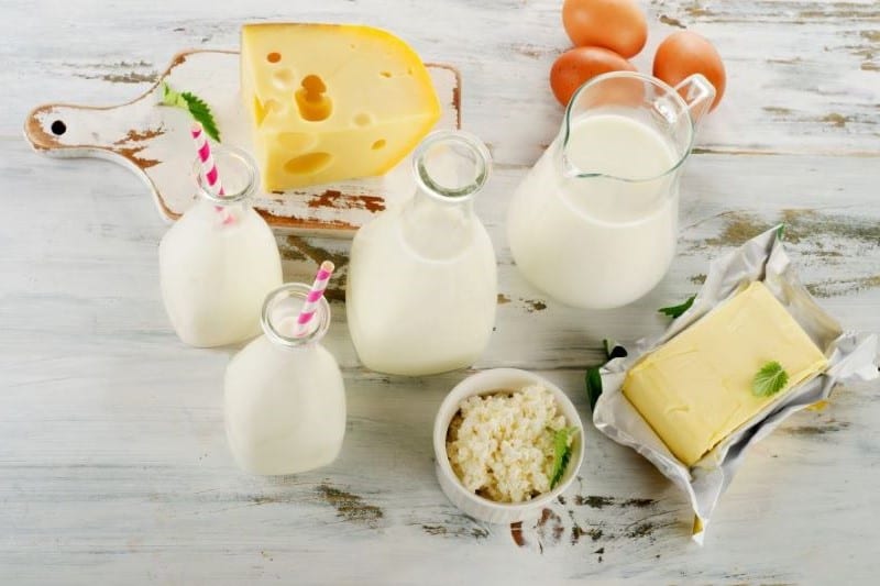 Milk Dairy 800 x 533
