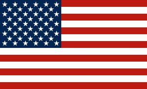 USA Flag 878 x 533